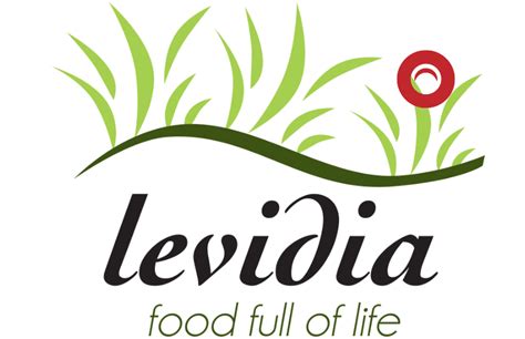 levidia.ch|More.